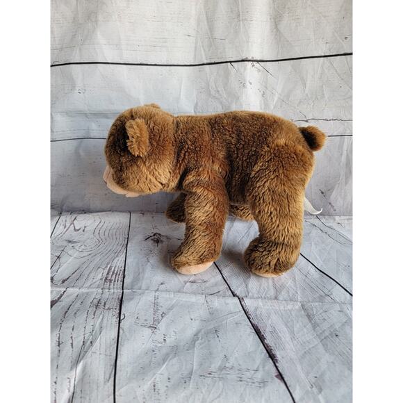 Kohl's Cares The World of Eric Carle 12in Brown Bear plush What Do You See Book - Picture 5 of 8